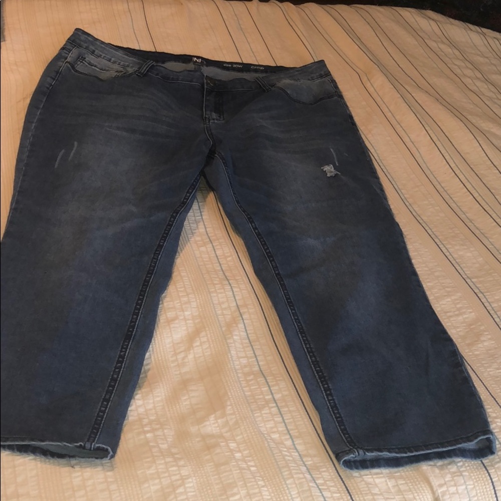 New Directions Curvy Jeans